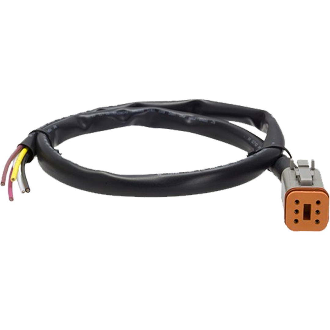 DT Plug tail 600mm (2 Cables)